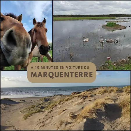 Vue Baie A L'infini *