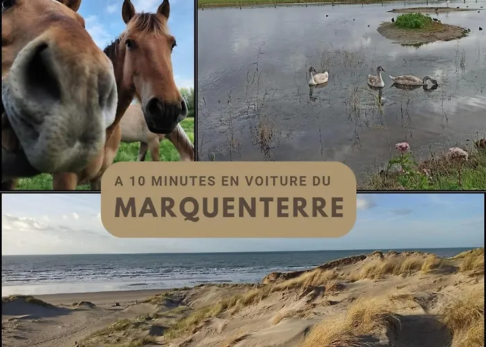 Vue Baie à L'infini *